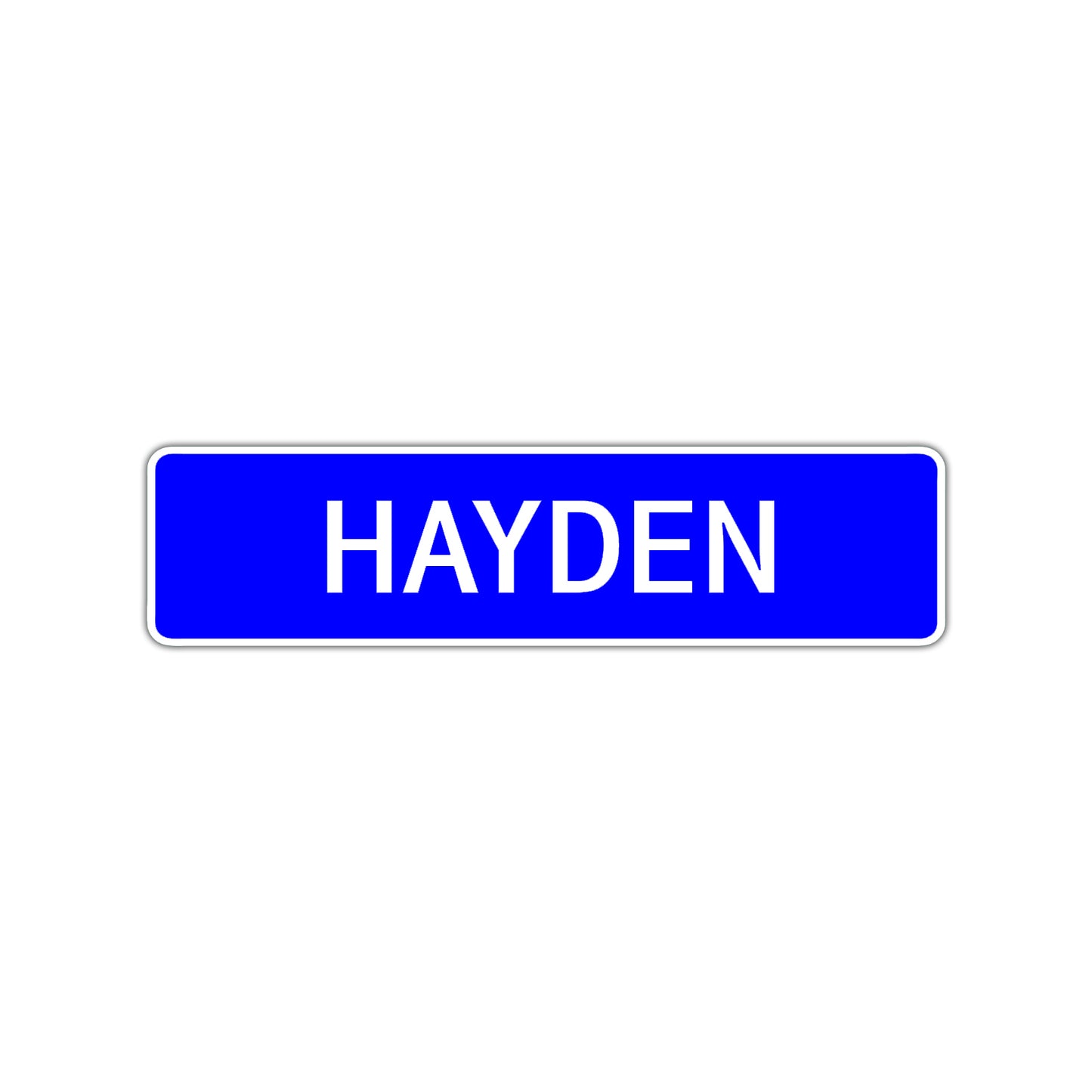 Hayden Street Sign Children Name Room Plate