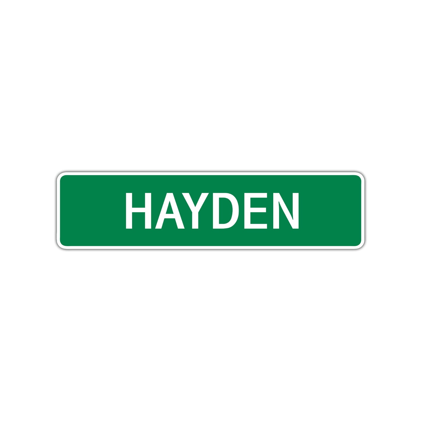 Hayden Street Sign Children Name Room Plate
