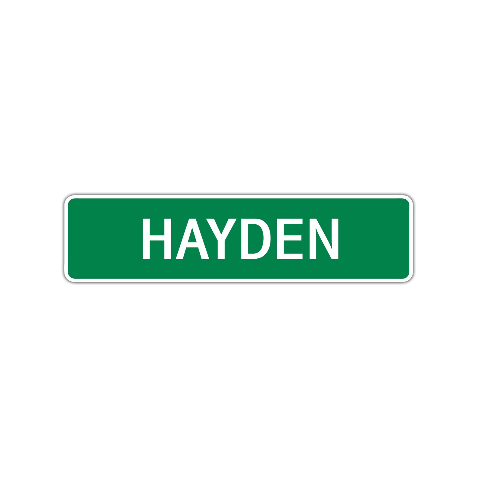 Hayden Street Sign Children Name Room Plate