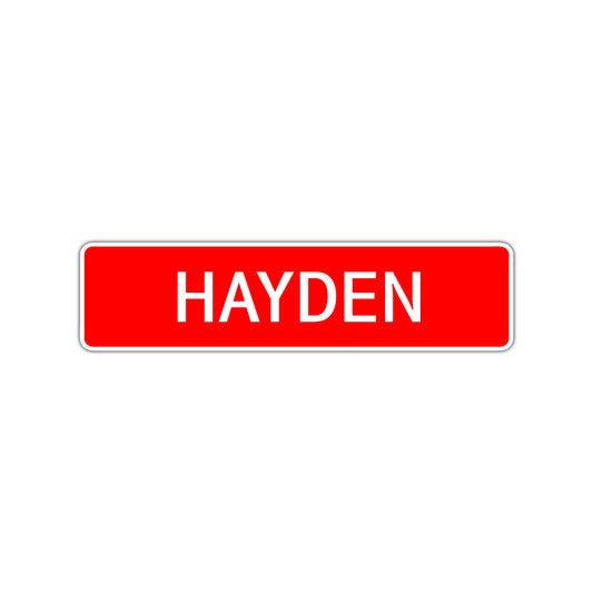 Hayden Street Sign Children Name Room Plate