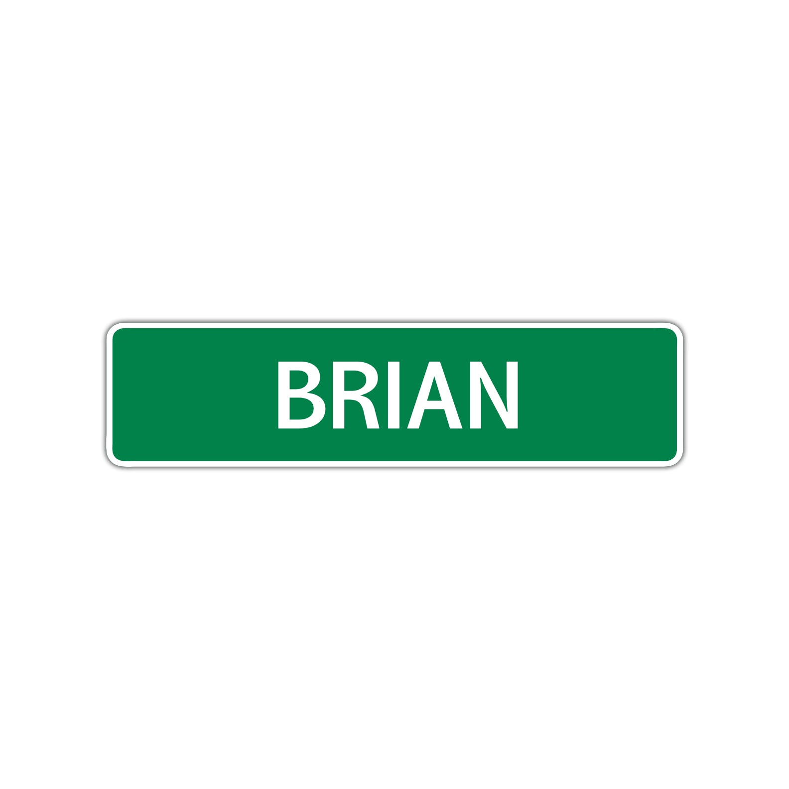 Brian Street Sign Children Name Room Plate