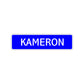 kameron Street Sign Children Name Room Plate