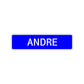 Andre Street Sign Children Name Room Plate
