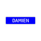 Damien Street Sign Children Name Room Plate