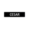 Cesar Street Sign Children Name Room Plate