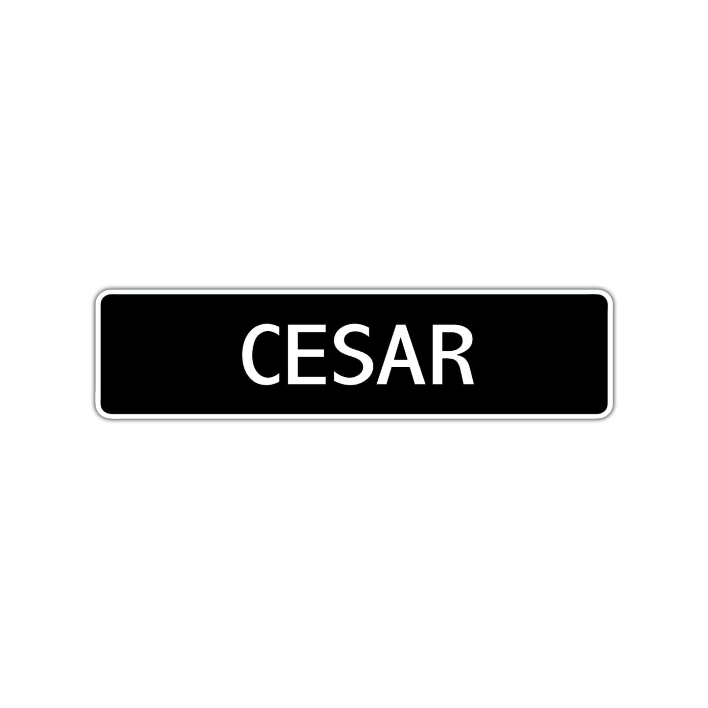 Cesar Street Sign Children Name Room Plate