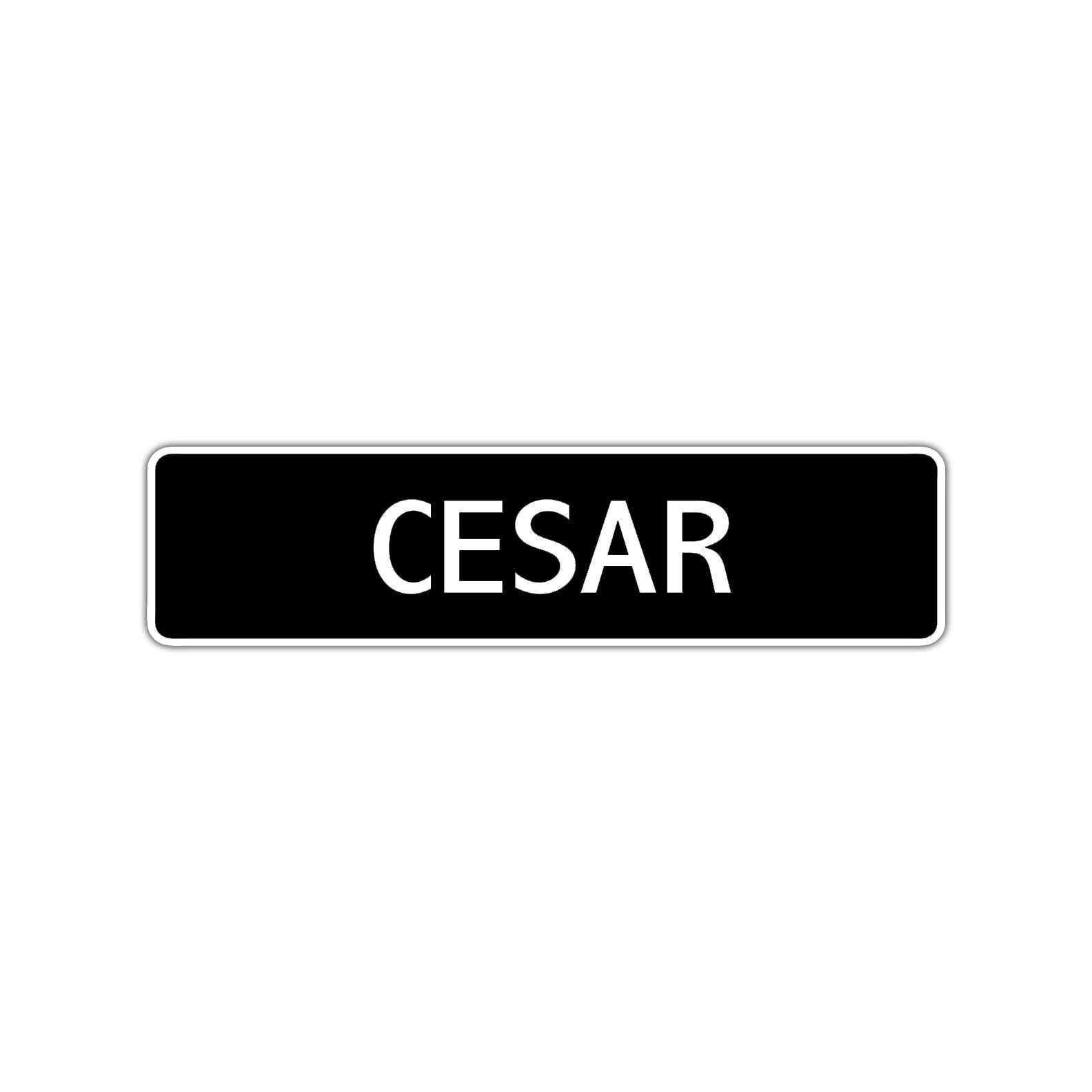 Cesar Street Sign Children Name Room Plate