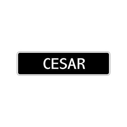 Cesar Street Sign Children Name Room Plate
