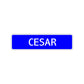 Cesar Street Sign Children Name Room Plate