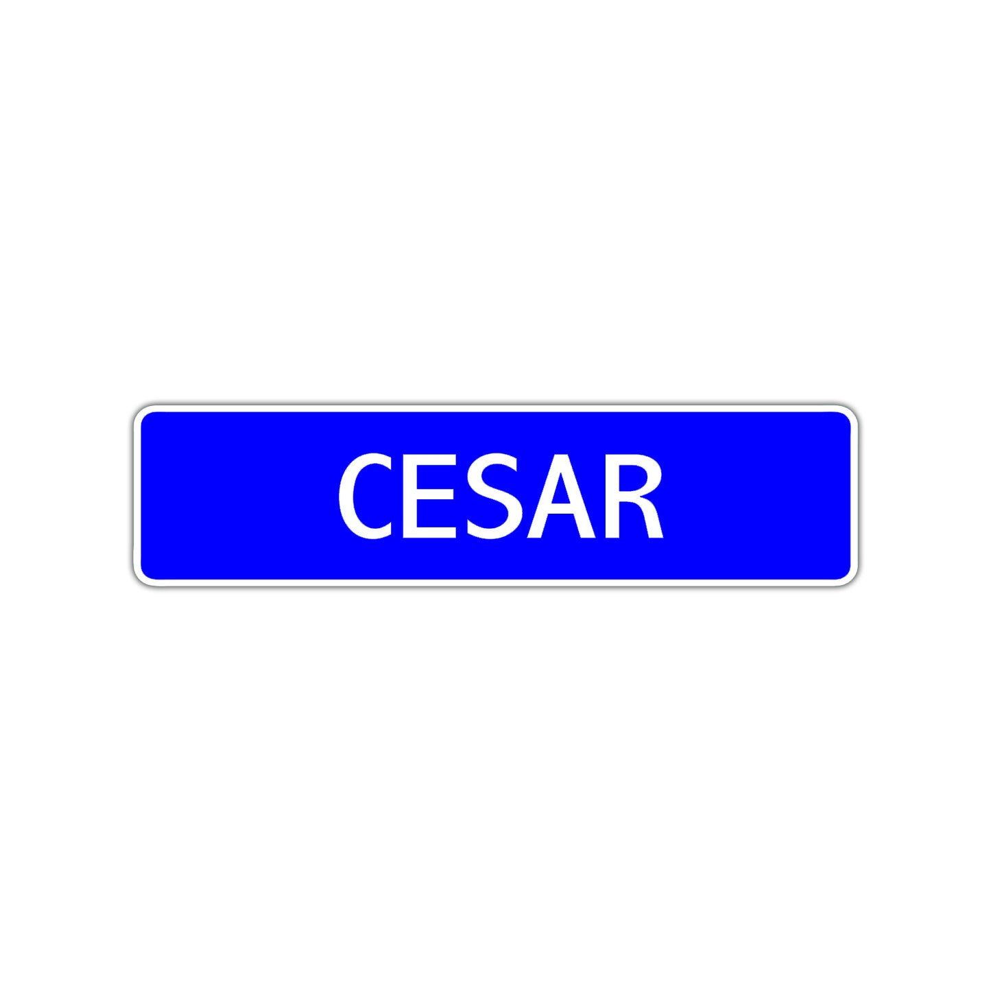 Cesar Street Sign Children Name Room Plate