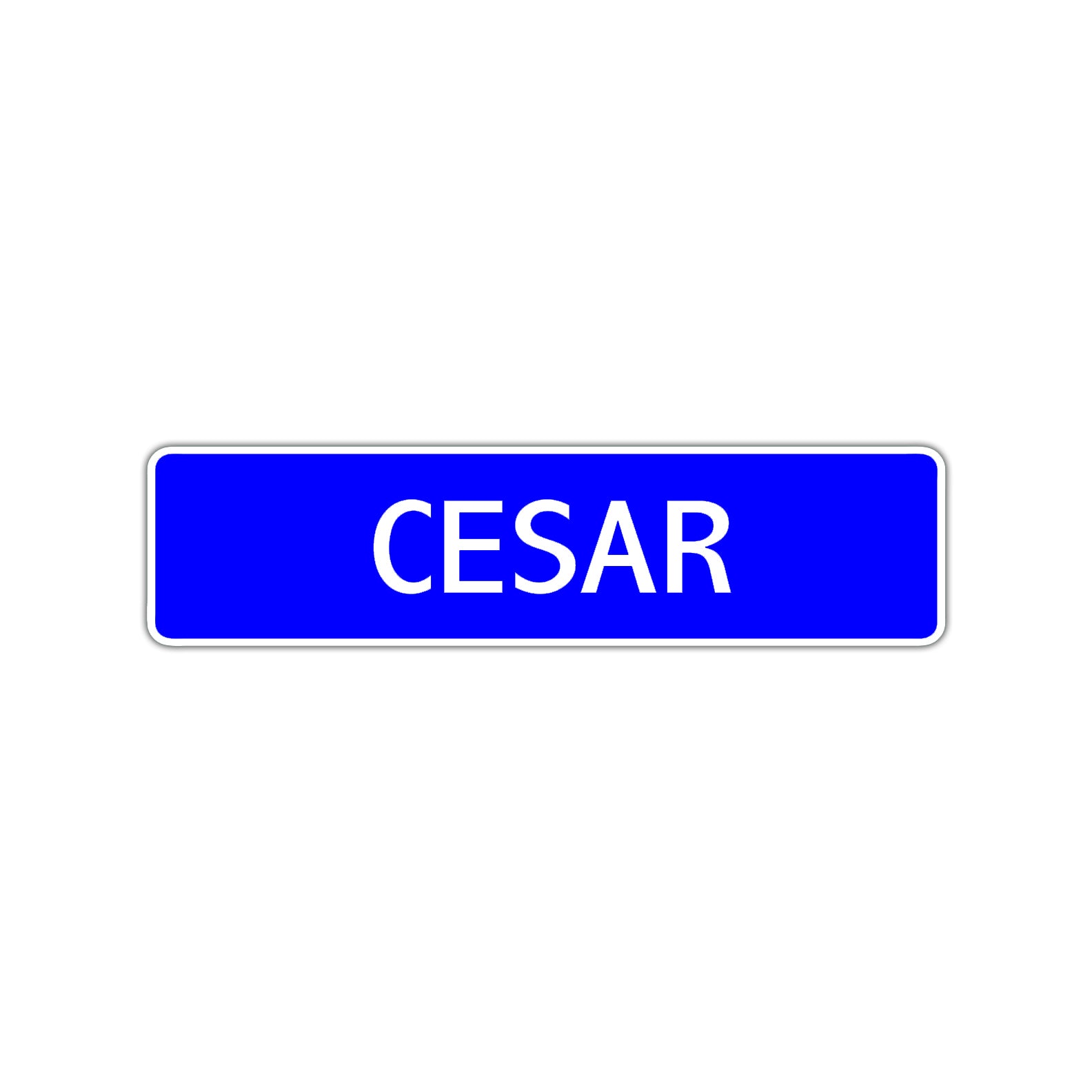 Cesar Street Sign Children Name Room Plate