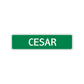 Cesar Street Sign Children Name Room Plate