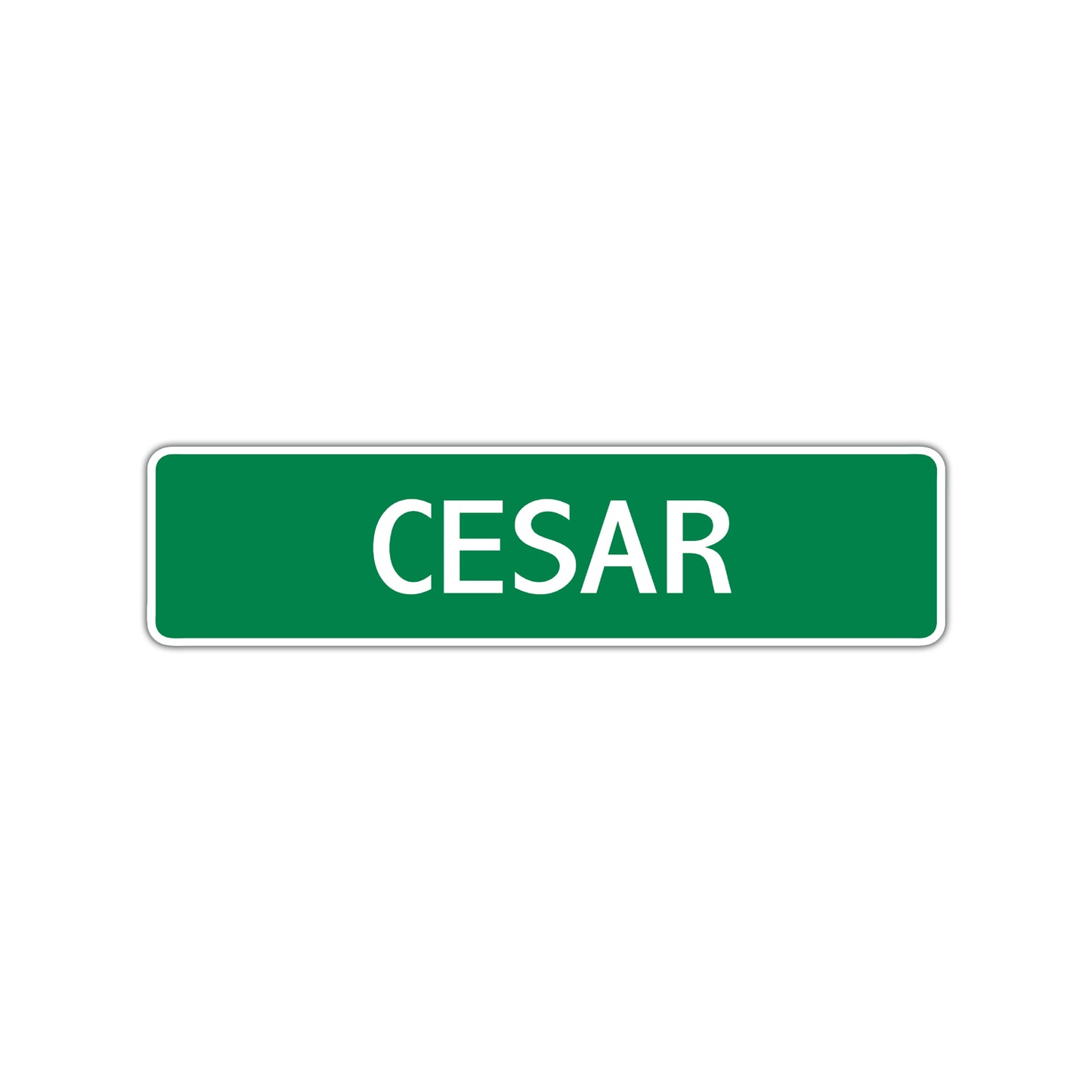 Cesar Street Sign Children Name Room Plate