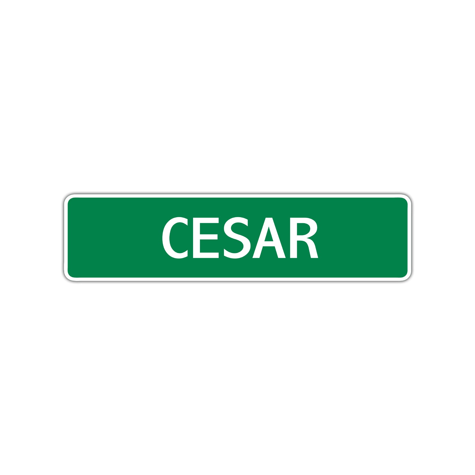 Cesar Street Sign Children Name Room Plate