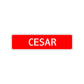 Cesar Street Sign Children Name Room Plate