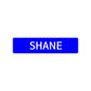 Shane Street Sign Children Name Room Plate