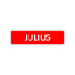Julius Street Sign Children Name Room Plate