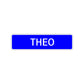 Theo Street Sign Children Name Room Plate
