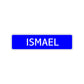 Ismael Street Sign Children Name Room Plate