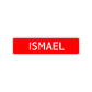 Ismael Street Sign Children Name Room Plate