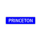 Princeton Street Sign Children Name Room Plate