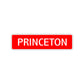 Princeton Street Sign Children Name Room Plate