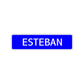 Esteban Street Sign Children Name Room Plate