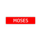 Moses Street Sign Children Name Room Plate