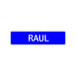 Raul Street Sign Children Name Room Plate