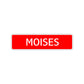 Moises Street Sign Children Name Room Plate