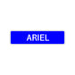 Ariel Street Sign Children Name Room Plate