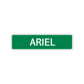 Ariel Street Sign Children Name Room Plate