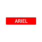 Ariel Street Sign Children Name Room Plate