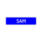 Sam Street Sign Children Name Room Plate