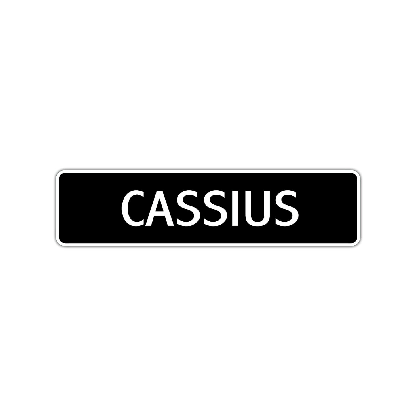 Cassius Street Sign Children Name Room Plate