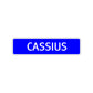 Cassius Street Sign Children Name Room Plate