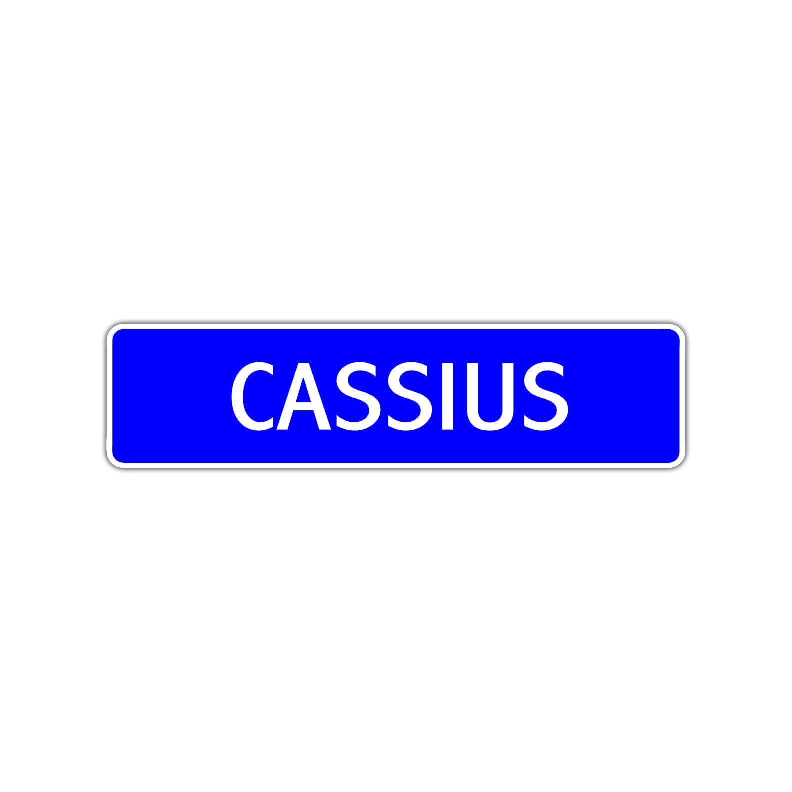 Cassius Street Sign Children Name Room Plate