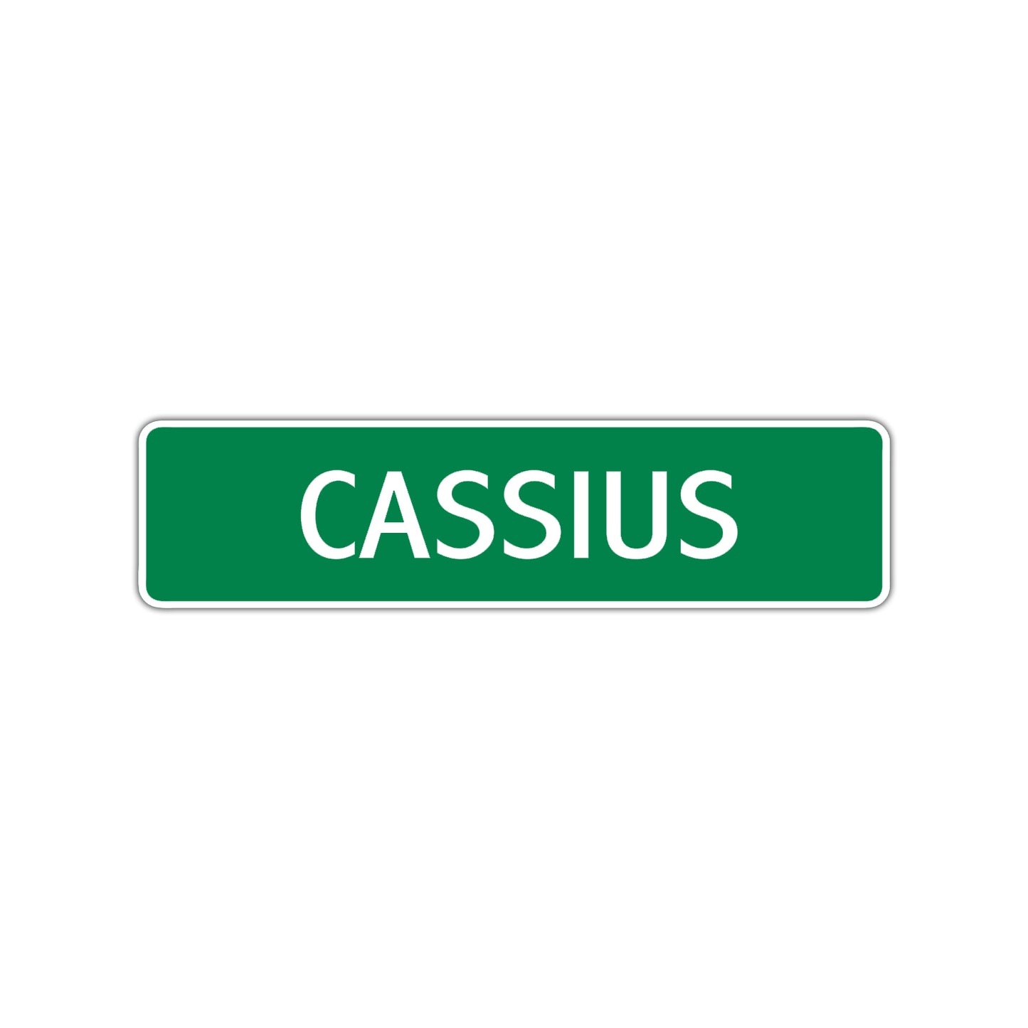 Cassius Street Sign Children Name Room Plate