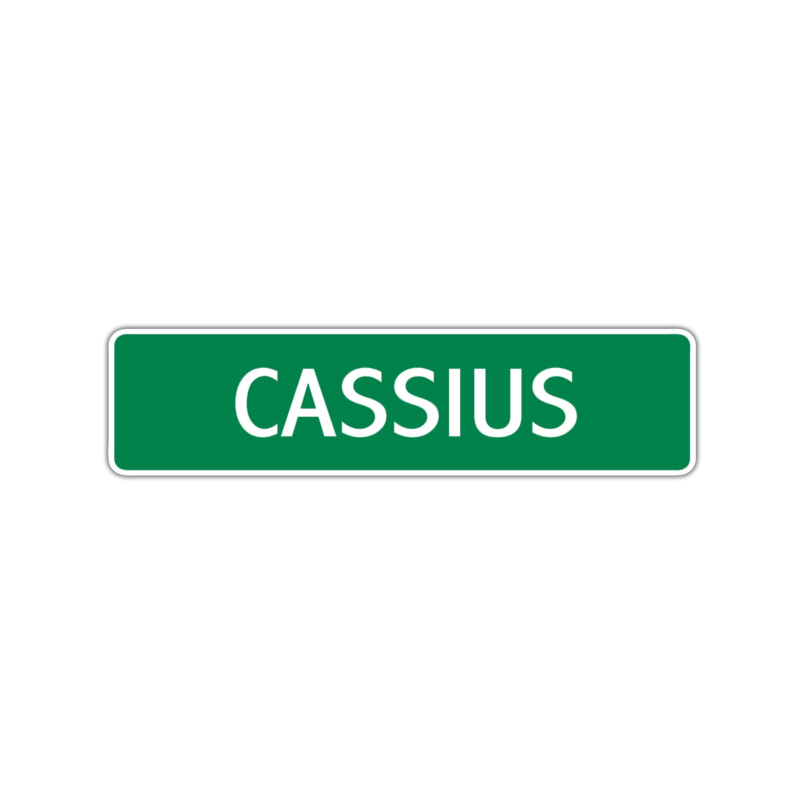 Cassius Street Sign Children Name Room Plate