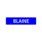 Blaine Street Sign Children Name Room Plate