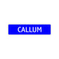 Callum Street Sign Children Name Room Plate