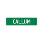 Callum Street Sign Children Name Room Plate