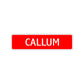 Callum Street Sign Children Name Room Plate