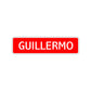 Guillermo Street Sign Children Name Room Plate