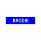 Brodie Street Sign Children Name Room Plate