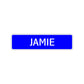 Jamie Street Sign Children Name Room Plate