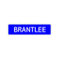 Brantlee Street Sign Children Name Room Plate