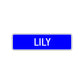Lily Street Sign Children Name Room Plate
