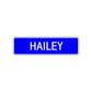 Hailey Street Sign Children Name Room Plate