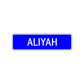 Aliyah Street Sign Children Name Room Plate
